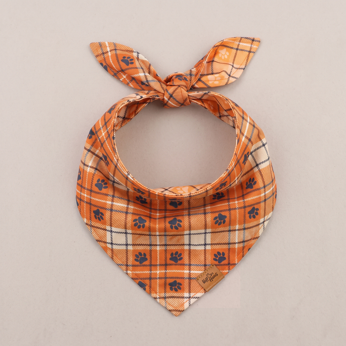 Plaid Paws reversible dog bandana, Marmalade Plaid side, tied flat lay