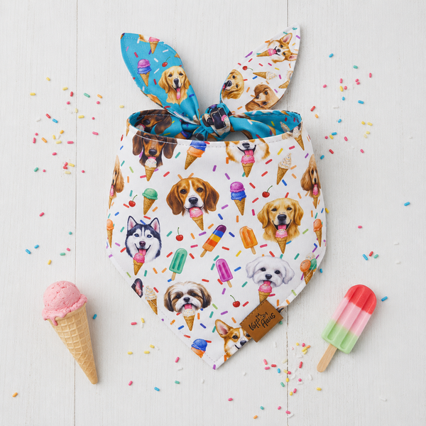 Scoops & Snoots Reversible Dog Bandana