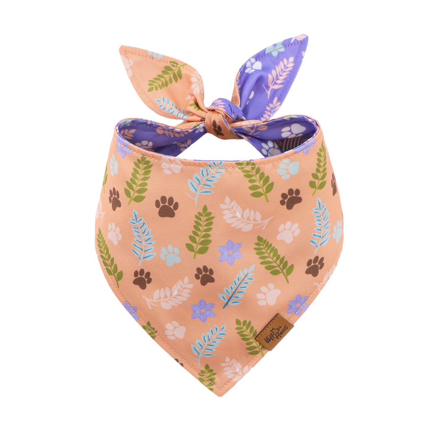 Dog bandana with floral and paw print pattern on a white background