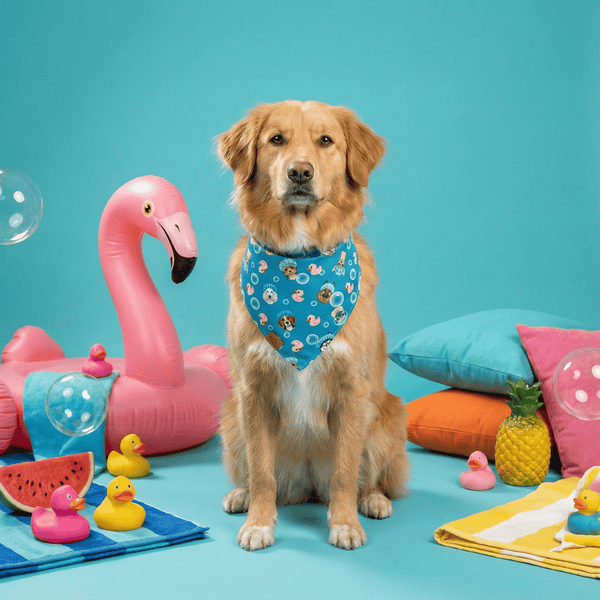 Barky Ducky Reversible Dog Bandana