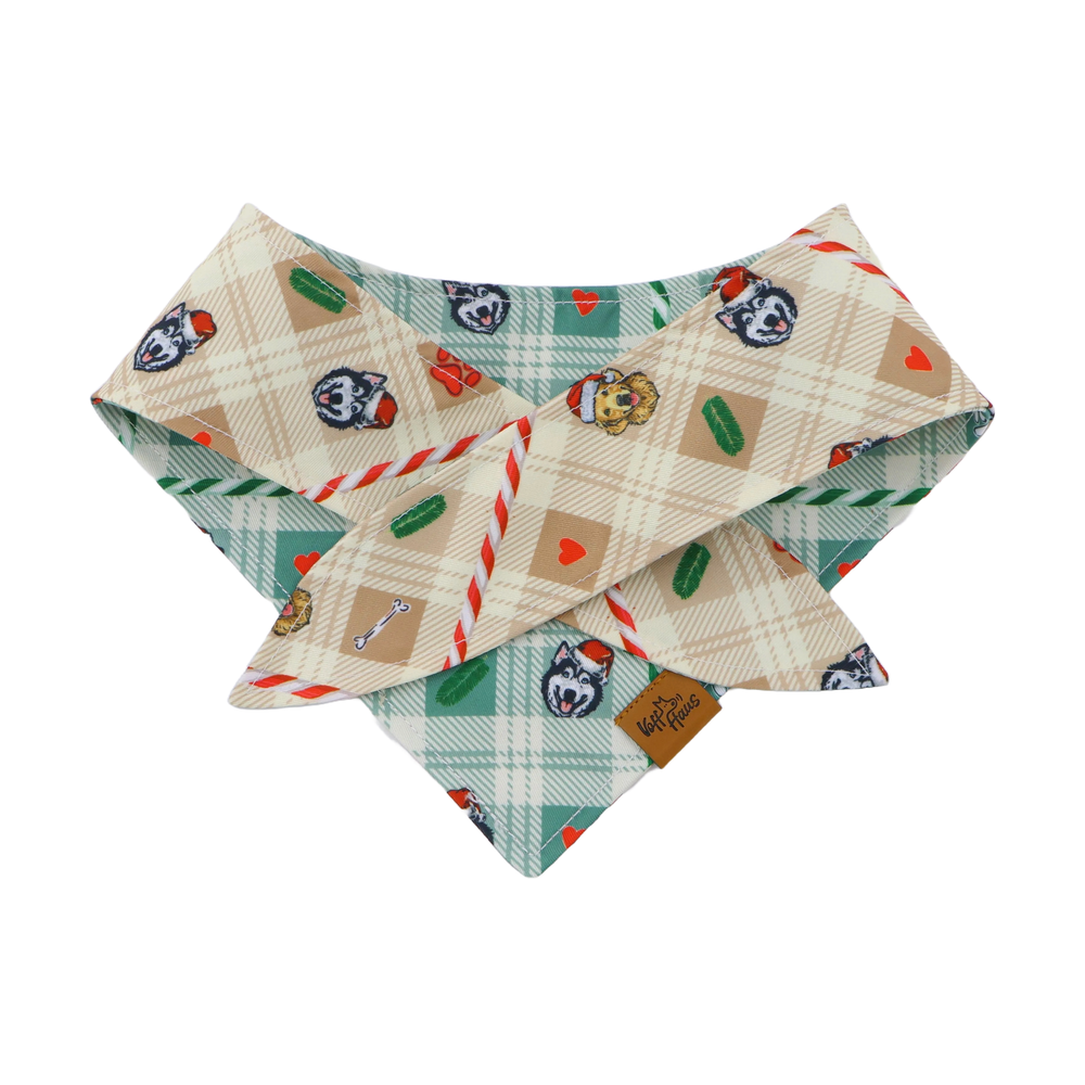 The Candy Cane Tails reversible dog bandana folded to show both the cream and mint printed sides