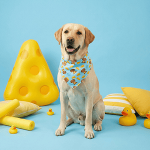 The Cheese Snatcher Reversible Dog Bandana