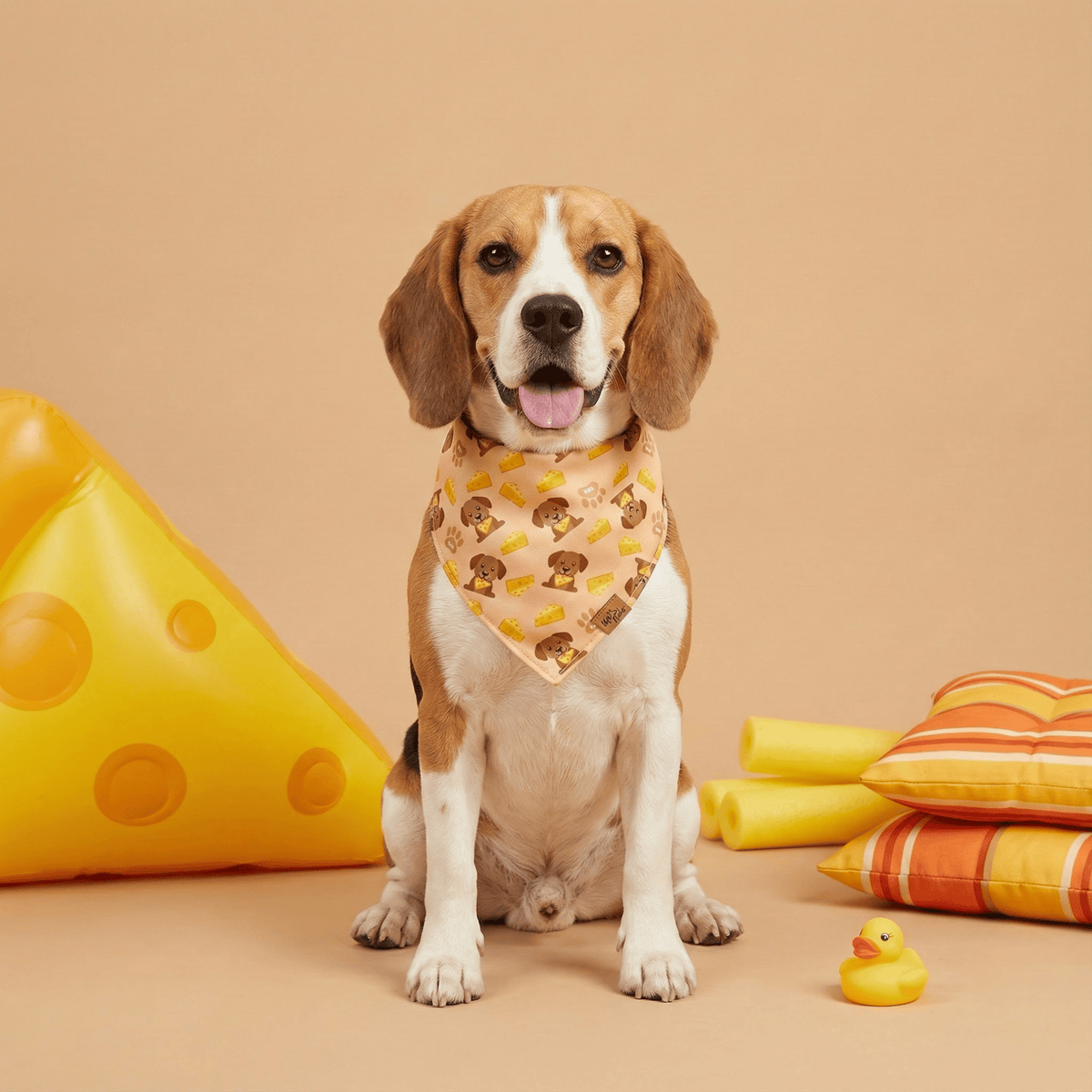 Beagle wearing The Cheese Snatcher reversible dog bandana in peach, beside oversized cheese wedge props