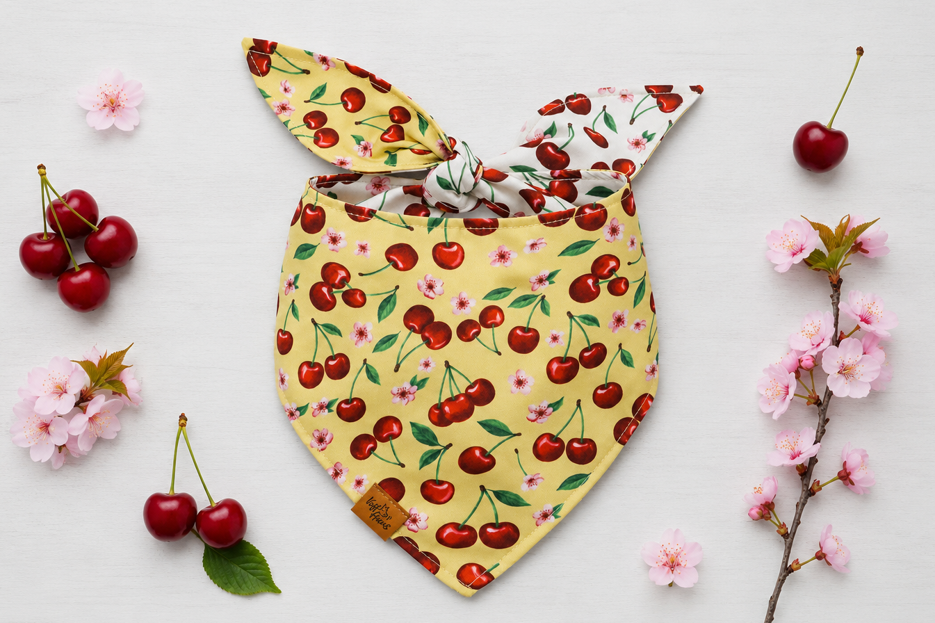Cherry Pop reversible dog bandana, mustard side with red cherries and pink blossom