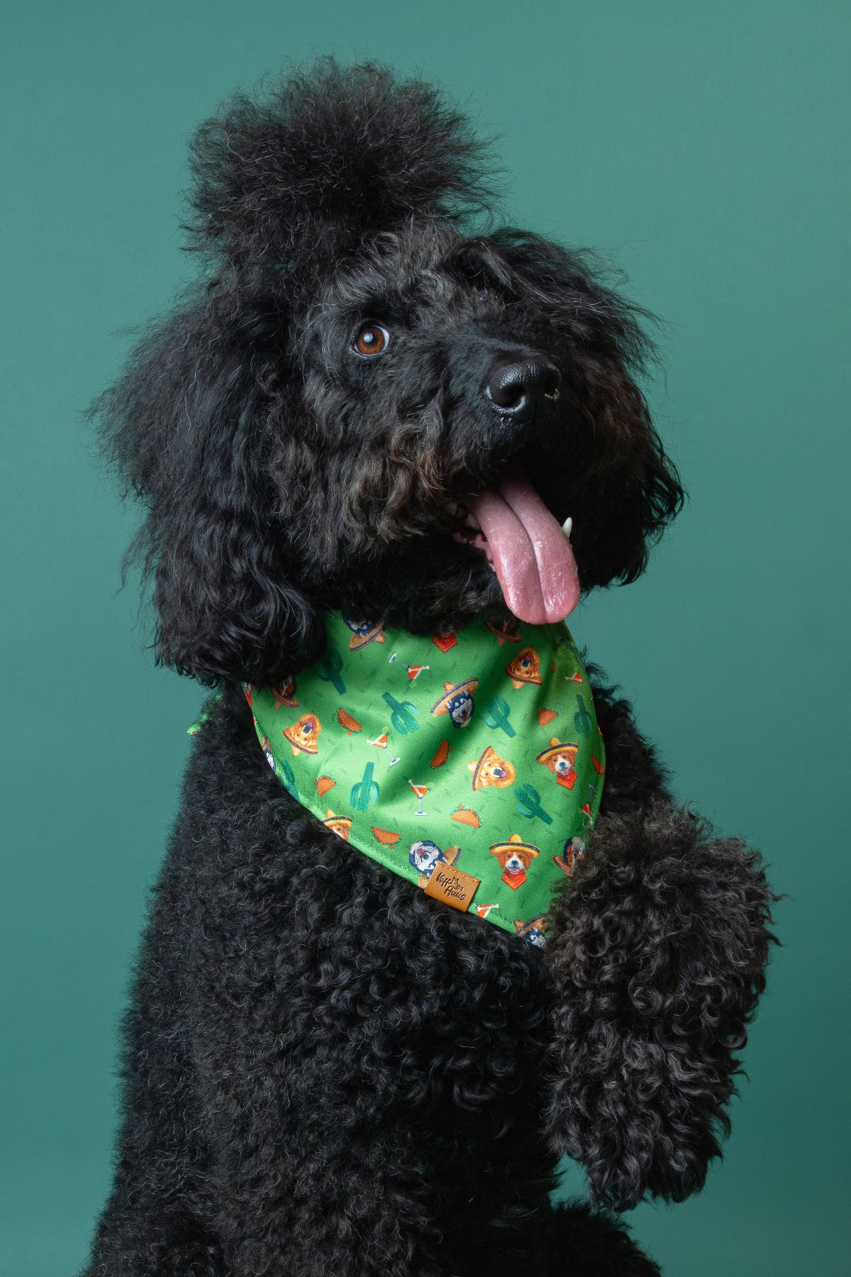 Black dog wearing a green bandana with cartoon characters against a teal background