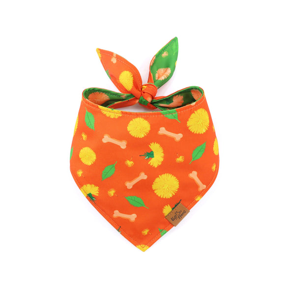Orange bandana with yellow dandelions and green leaves on a white background