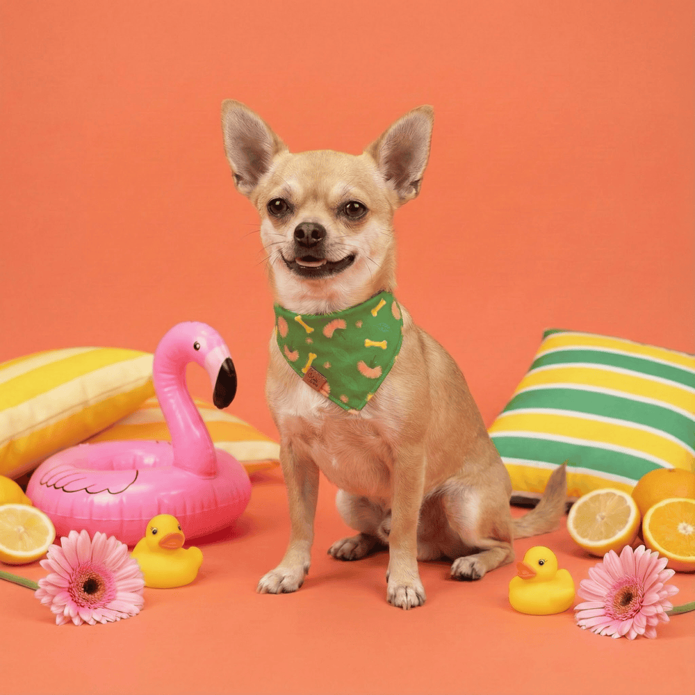 Dreamy Walk Reversible Dog Bandana