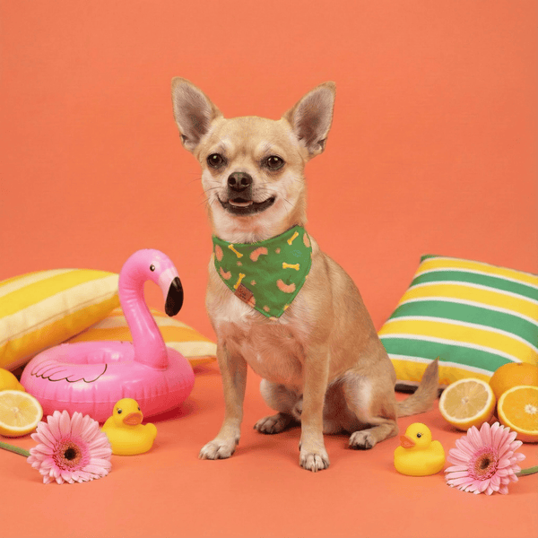 Dreamy Walk Reversible Dog Bandana