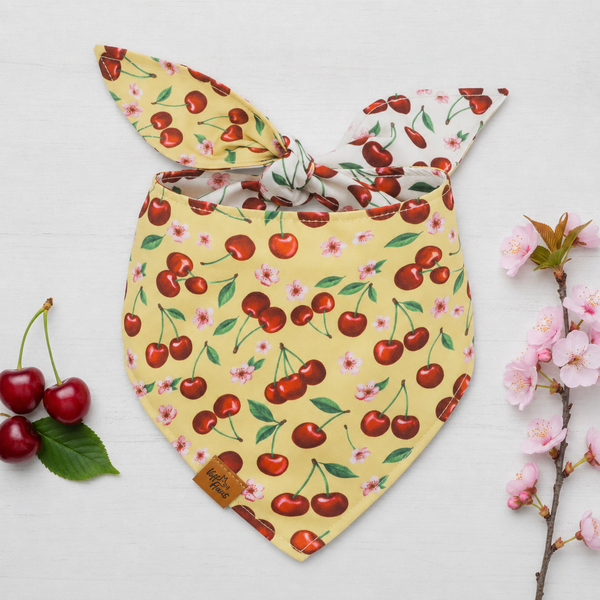 Cherry Pop Reversible Dog Bandana