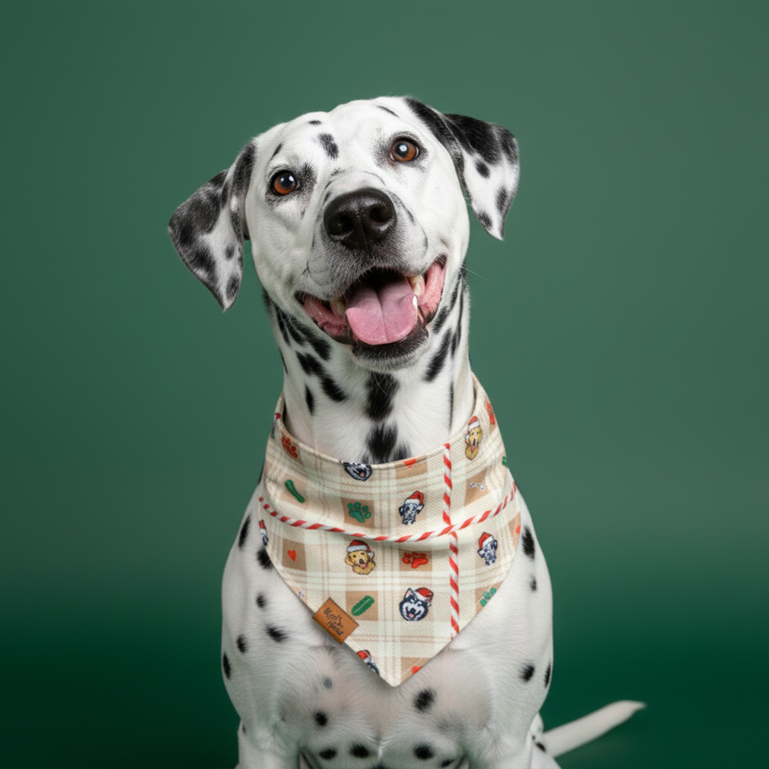 Candy Cane Tails Reversible Dog Banadana