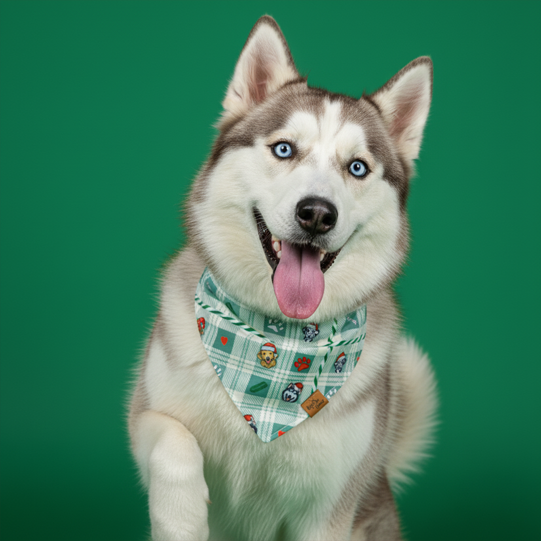 Candy Cane Tails Reversible Dog Banadana