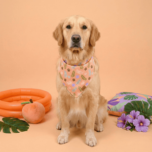 Paw Blossoms Reversible Dog Bandana