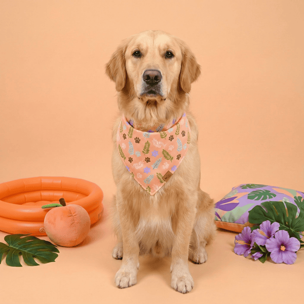 Paw Blossoms Reversible Dog Bandana