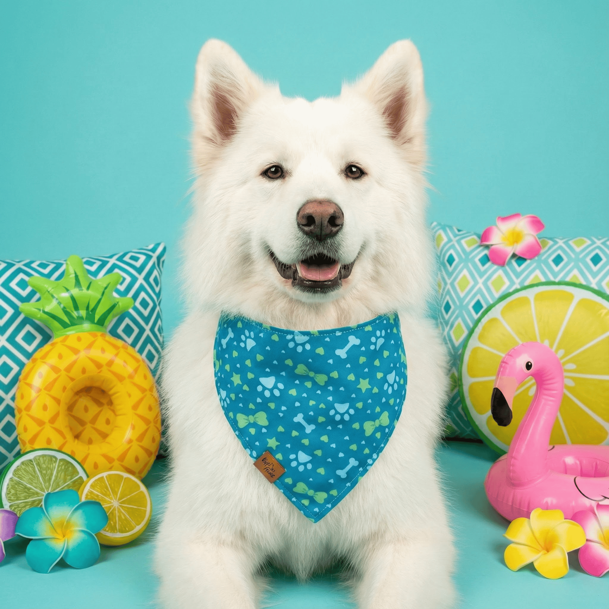 Pawprints & Love Reversible Dog Bandana