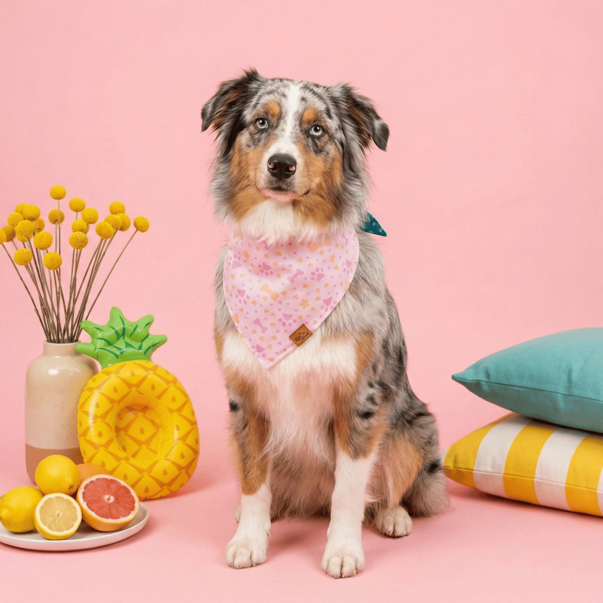 Pawprints & Love: Stylish and Trendy Reversible Dog Bandana