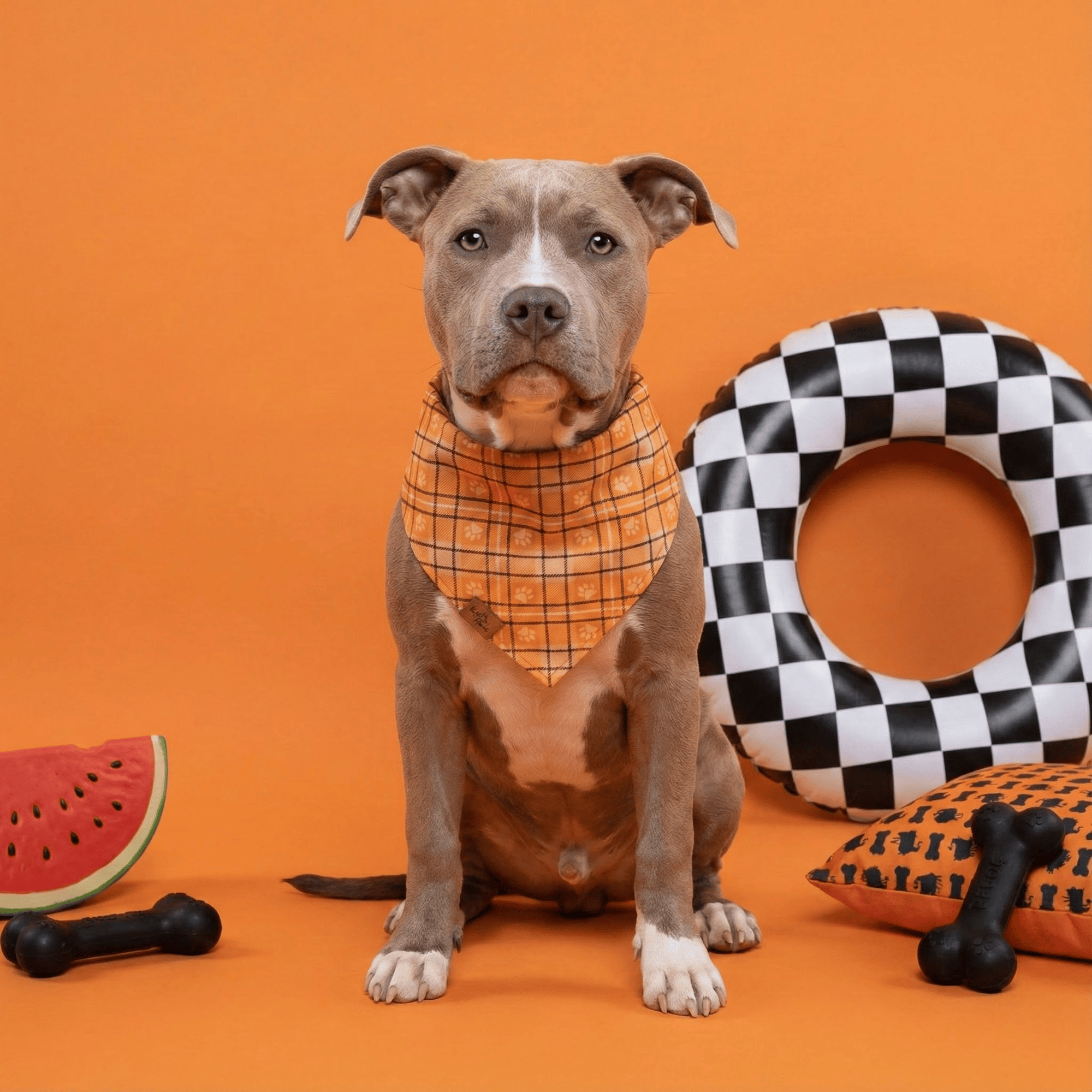 Plaid Paws Reversible Dog Bandana