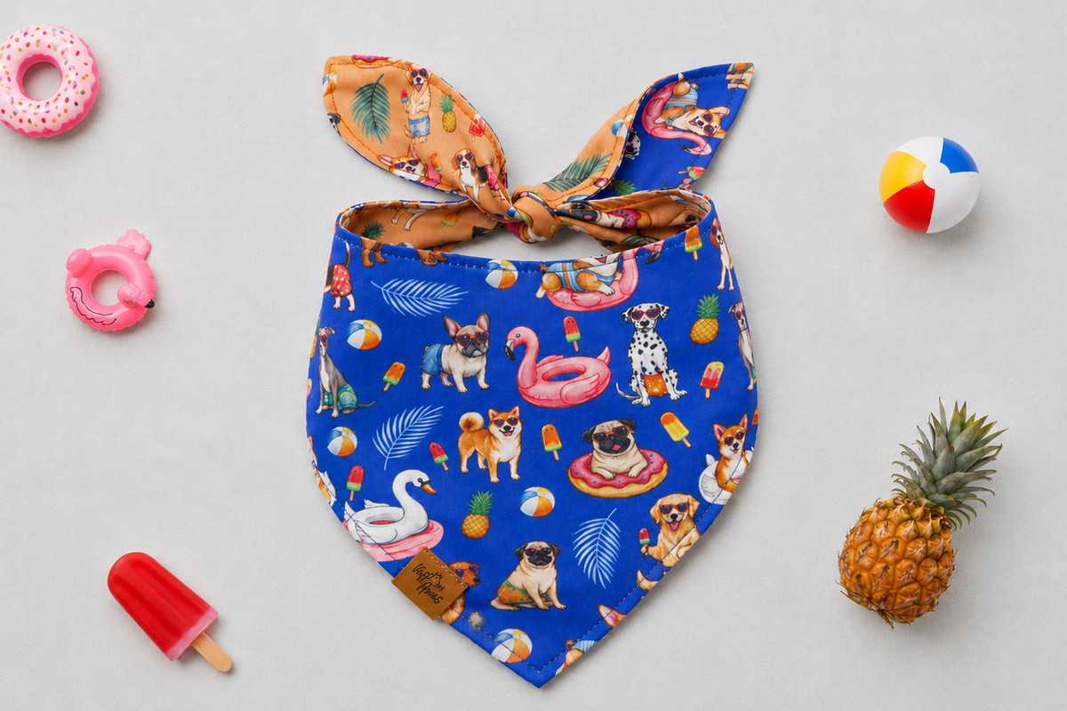 The Pool Pawty reversible dog bandana tied flat, royal blue side with poolside pups