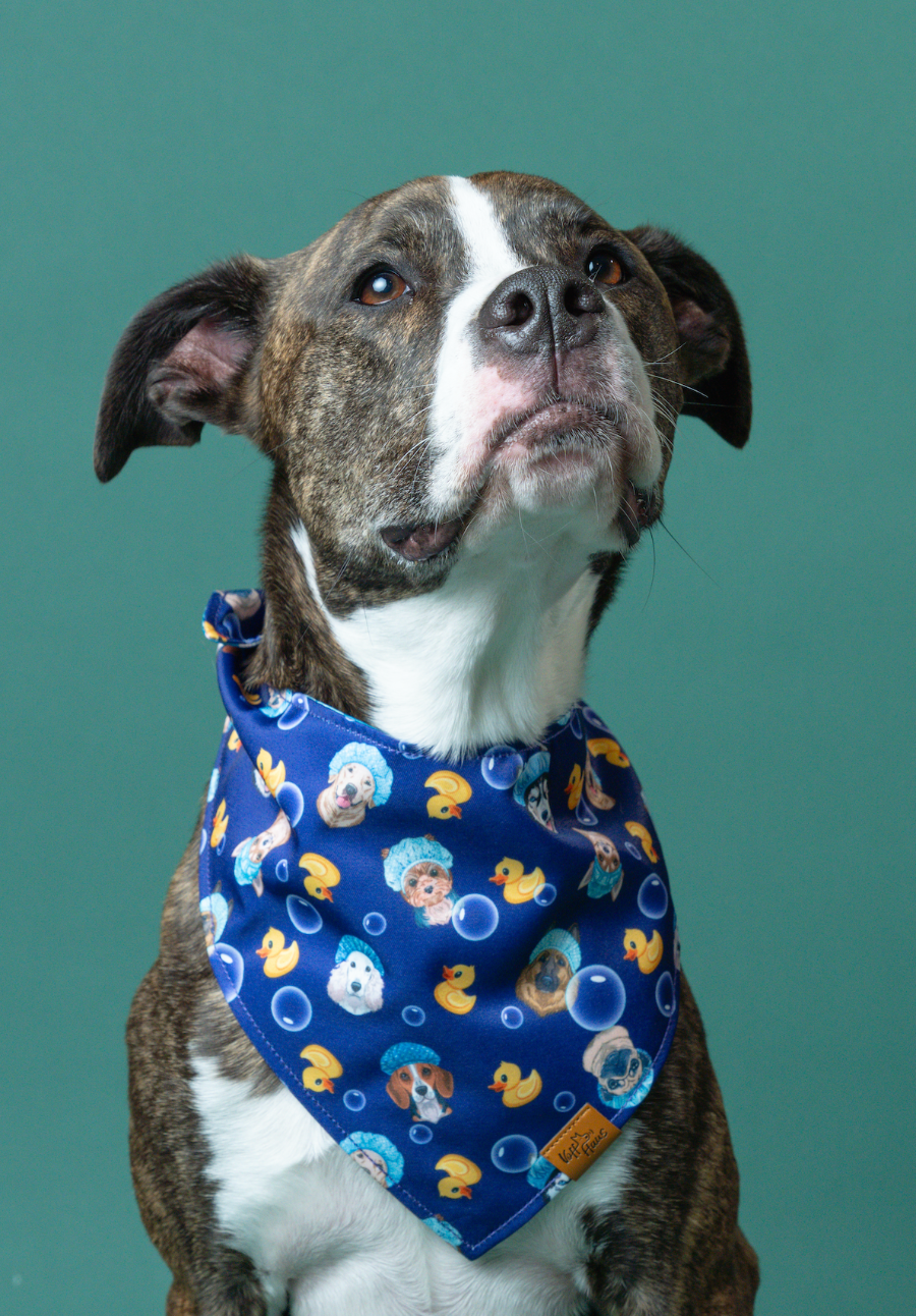 Dog wearing a blue bandana with cartoon characters on a green background