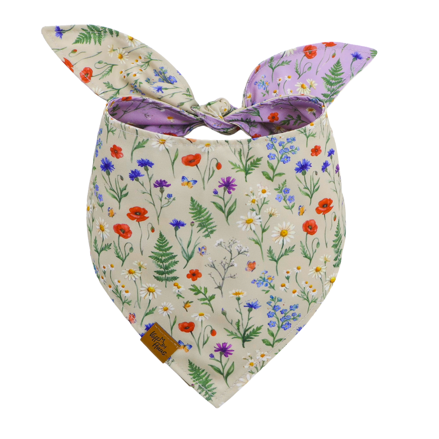 Wildflower Meadow reversible dog bandana, cream side with poppies, cornflowers and daisies