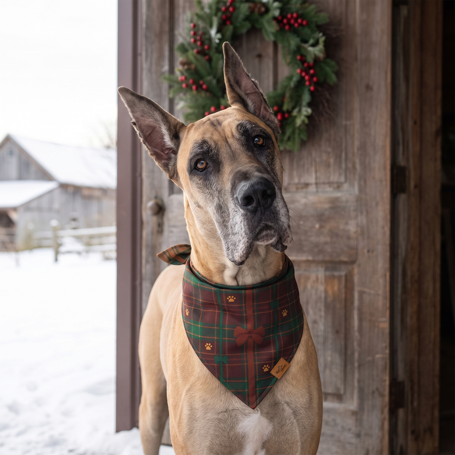 A dog wearing the Cranberry Plaid side