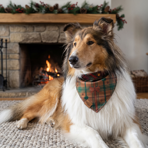 Sheltie by a fireplace wearing the Bark The Halls bandana, Forest Plaid side