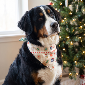 A dog wearing the Cream Candy side of the Candy Cane Tails bandana