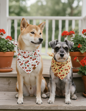 Cherry Pop Reversible Dog Bandana