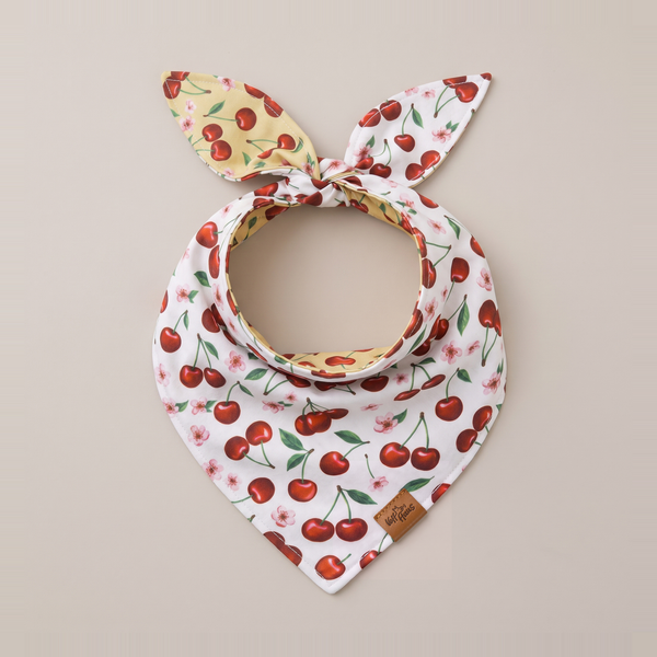 Cherry Pop reversible dog bandana, Cream Cherry side, tied flat lay