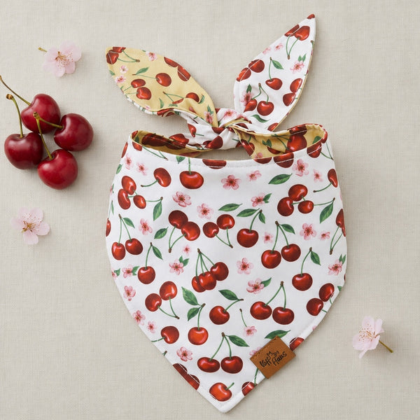 Cherry Pop Reversible Dog Bandana