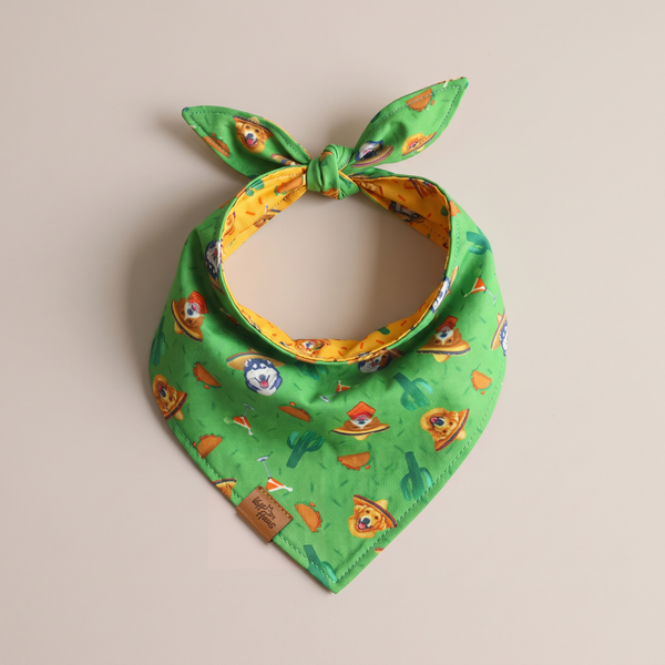 Fiesta Fur-Ever reversible dog bandana, Cactus Green side, tied flat lay