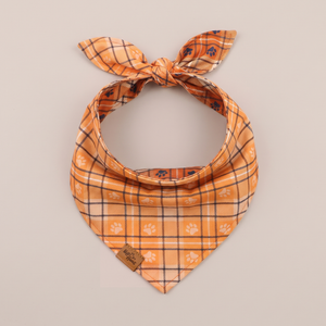Plaid Paws reversible dog bandana, Honey Plaid side, tied flat lay