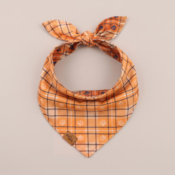 Plaid Paws reversible dog bandana, Honey Plaid side, tied flat lay