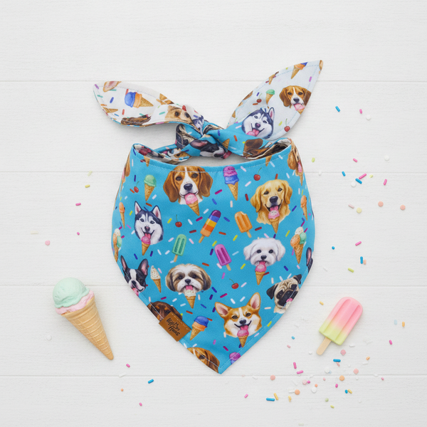 Scoops & Snoots Reversible Dog Bandana