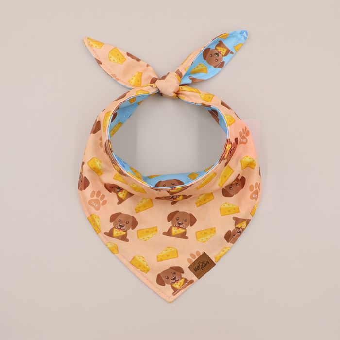The Cheese Snatcher reversible dog bandana, Butter Yellow side, tied flat lay