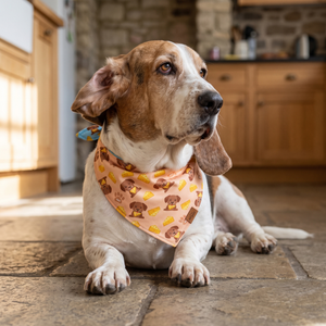 A dog wearing the Butter Yellow side of the Cheese Snatcher bandana