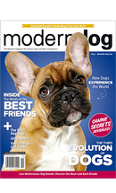 Modern Dog Magazine Link